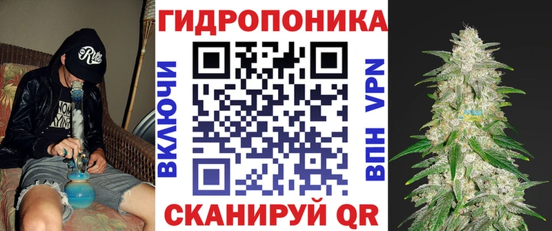 Бошки марихуана сатива  даркнет сайт  ссылка на мегу вход  Ужур 